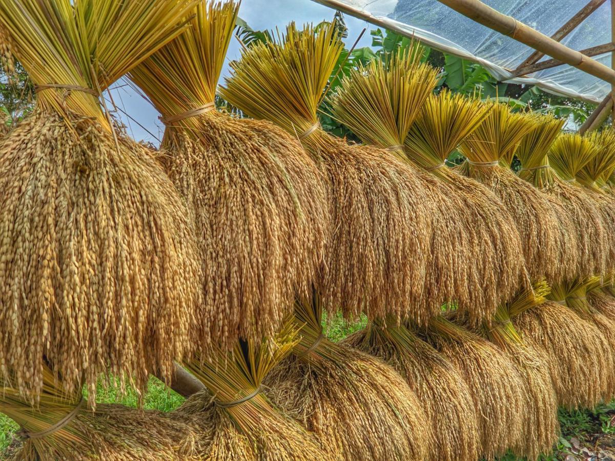 Farmstay Manangel Sindanglaka Dış mekan fotoğraf